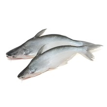 Load image into Gallery viewer, FROZENVIETNAMESEBASA