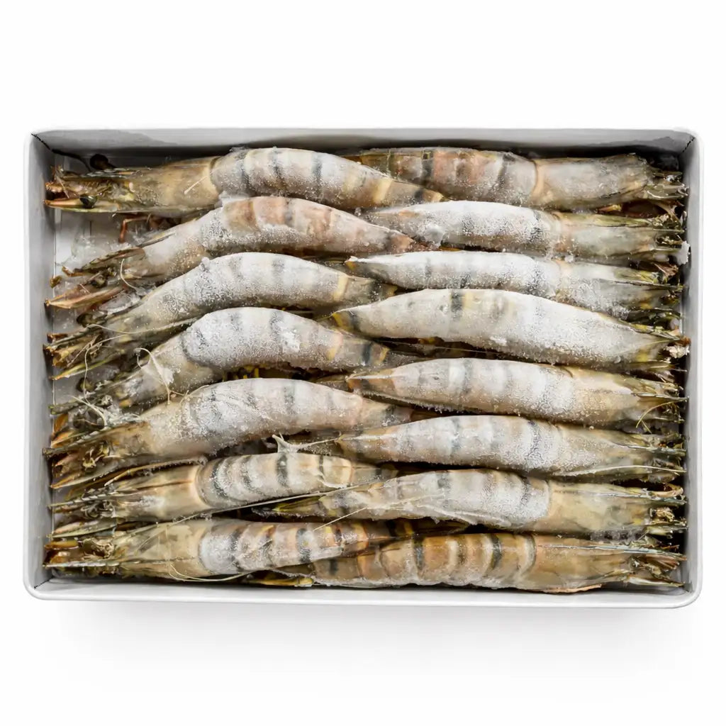 Frozen Prawns small