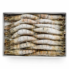 Frozen Prawns small