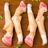 LAMB TROTTER {PAYA} PSC– 2P