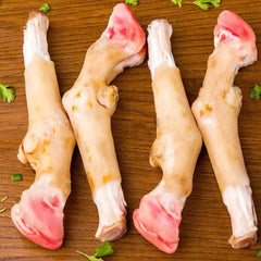 LAMB TROTTER {PAYA} PSC– 2P