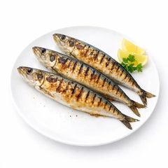 Sardine