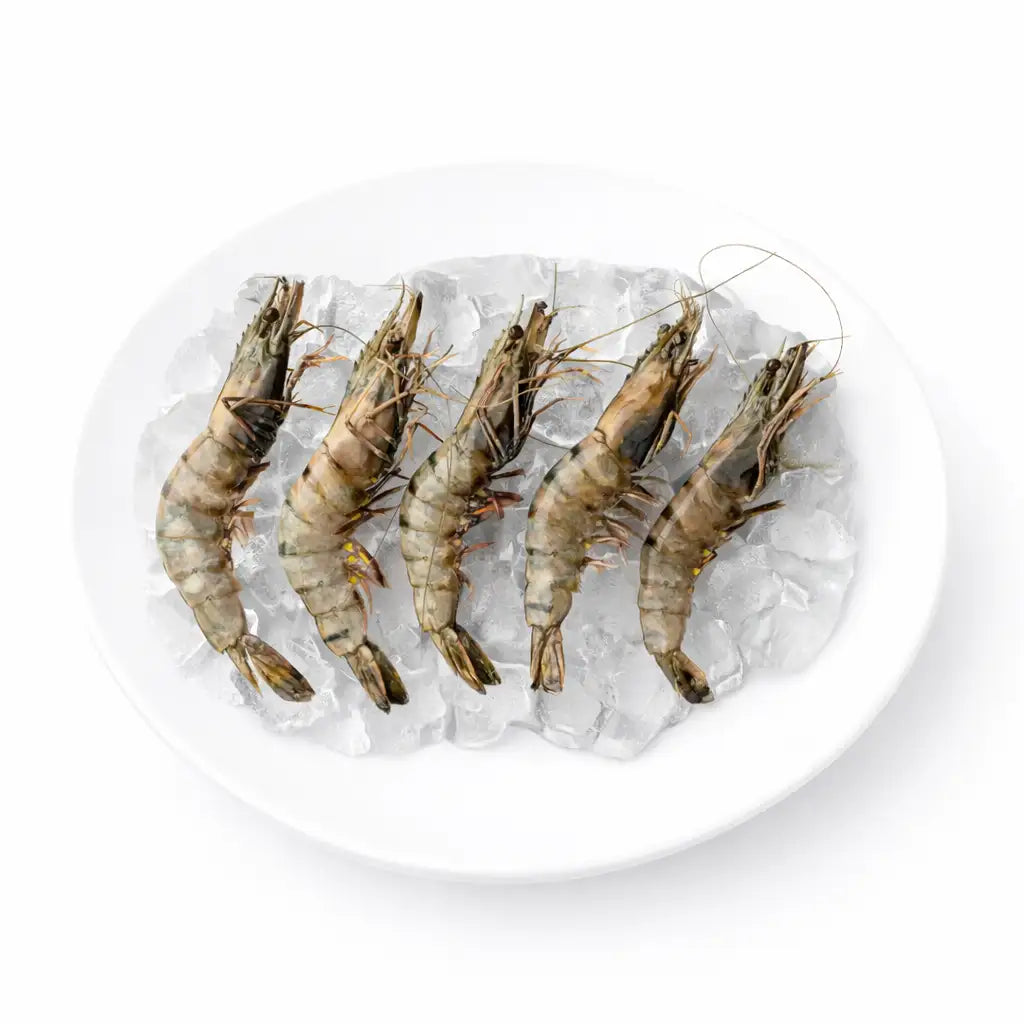 Frozen_Prawns_Large