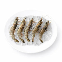 Frozen_Prawns_Large