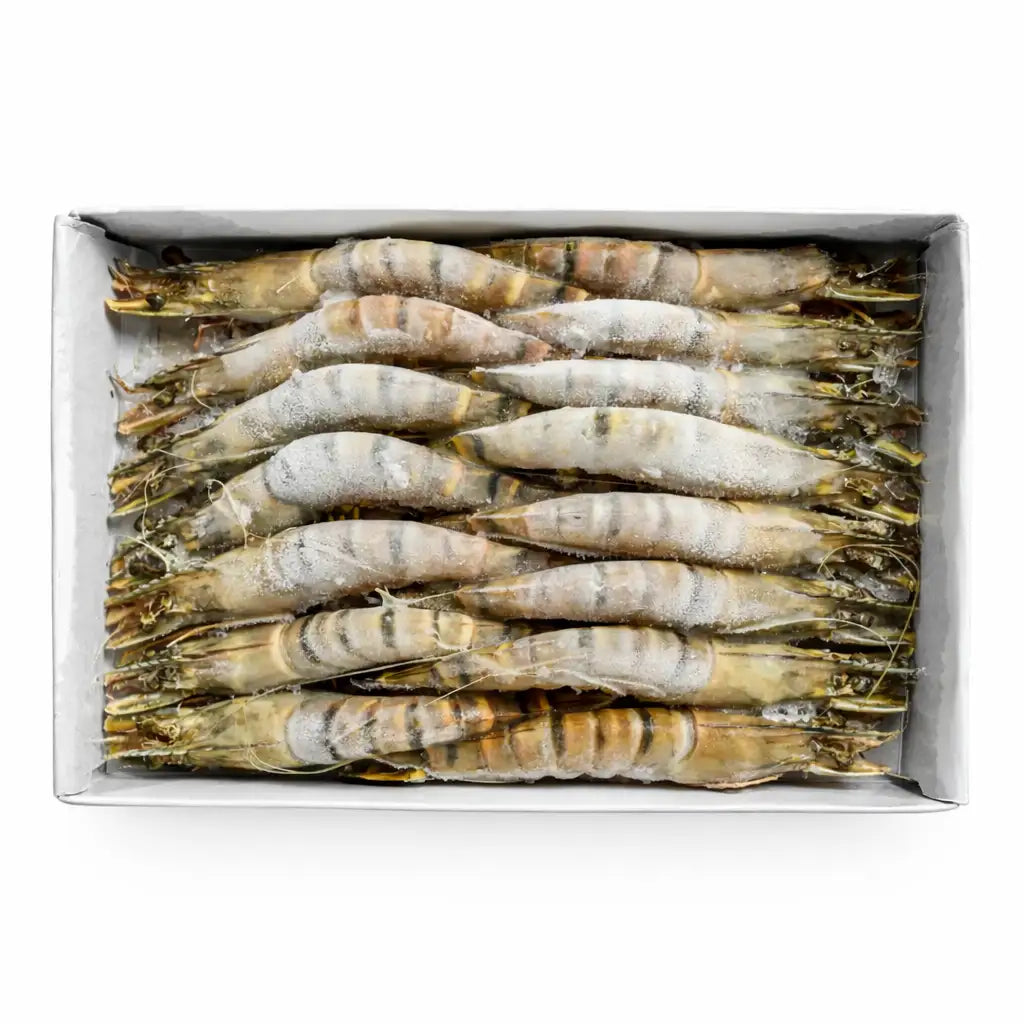 Frozen_Prawns_medium