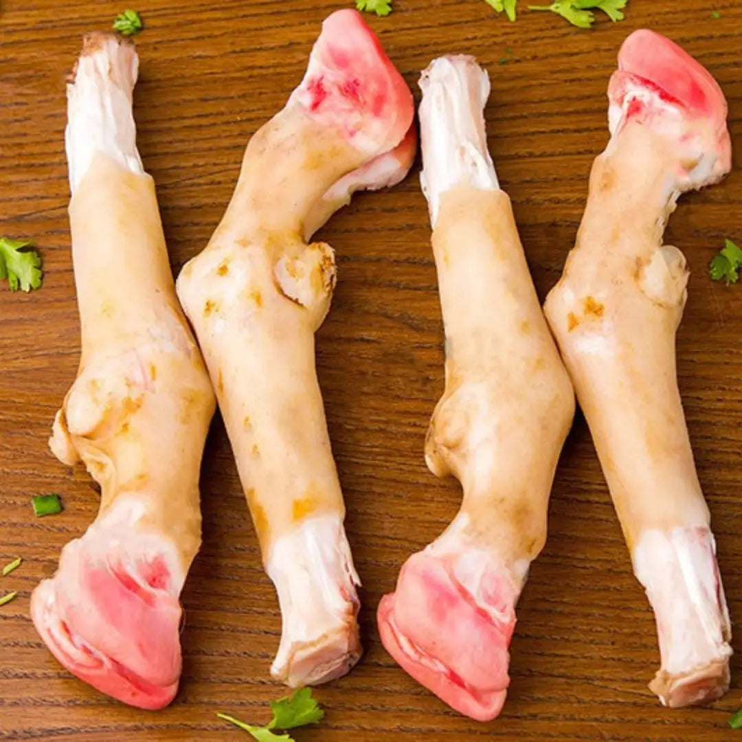 LAMB TROTTER {PAYA} PSC– 2P